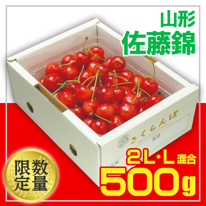 ★旬大粒★山形さくらんぼ 佐藤錦☆2L・L混合サイズバラ詰 【令和7年産先行予約】FU20-064