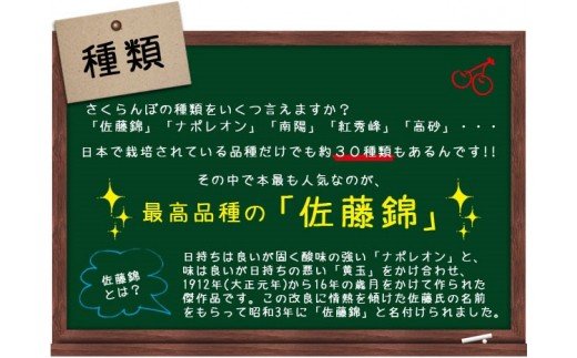 ★母の日★山形さくらんぼ 佐藤錦 L 24粒チョコ箱メッセージ付(5/4～5/10着) 【令和8年産先行予約】FS25-545