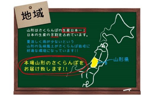 ★母の日★山形さくらんぼ 佐藤錦 L 24粒チョコ箱メッセージ付(5/5～5/11着) 【令和7年産先行予約】FU18-299