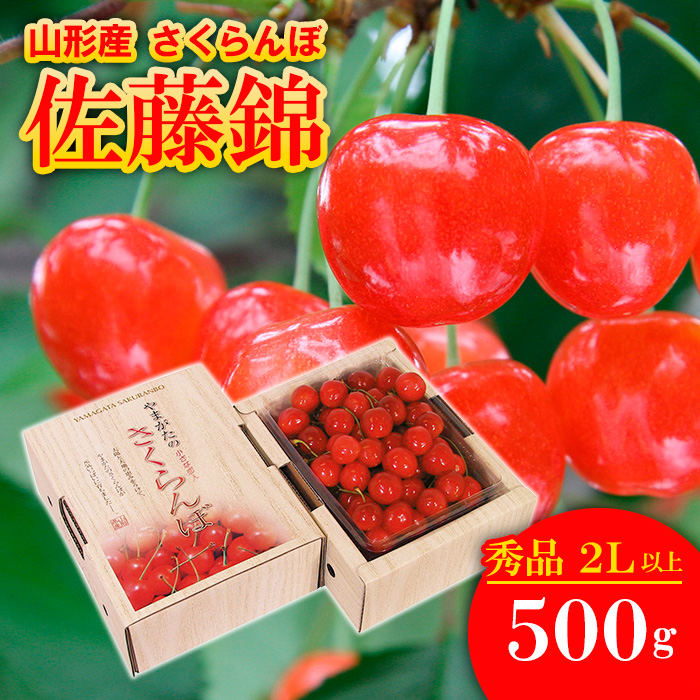 さくらんぼ 佐藤錦 厳選2Lサイズ以上500g入り1箱 【令和7年産先行予約】FU20-123