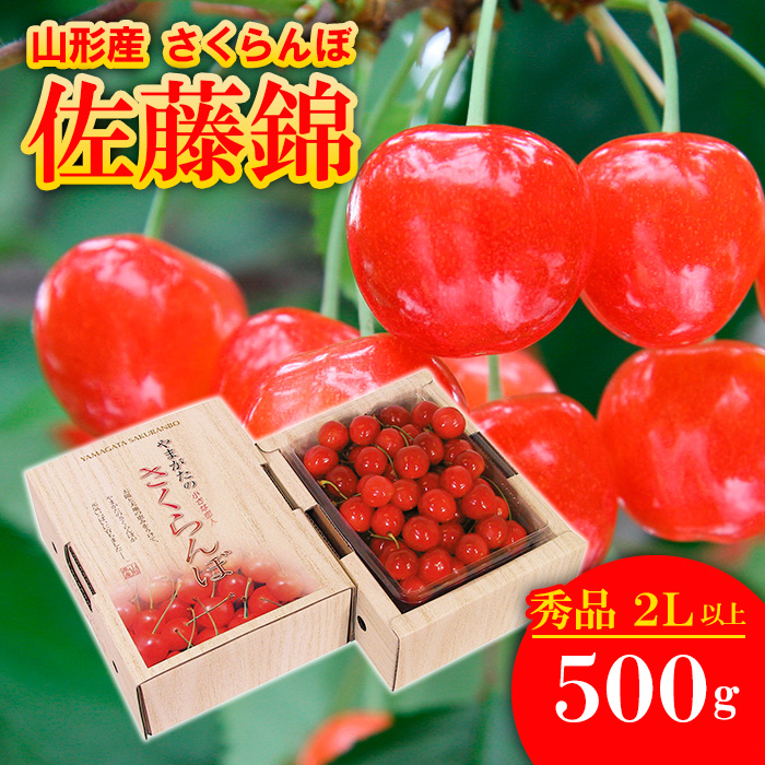 さくらんぼ 佐藤錦  ”希少な大粒” 厳選 2Lサイズ以上 500g入り 1箱 【令和8年産先行予約】FS25-564