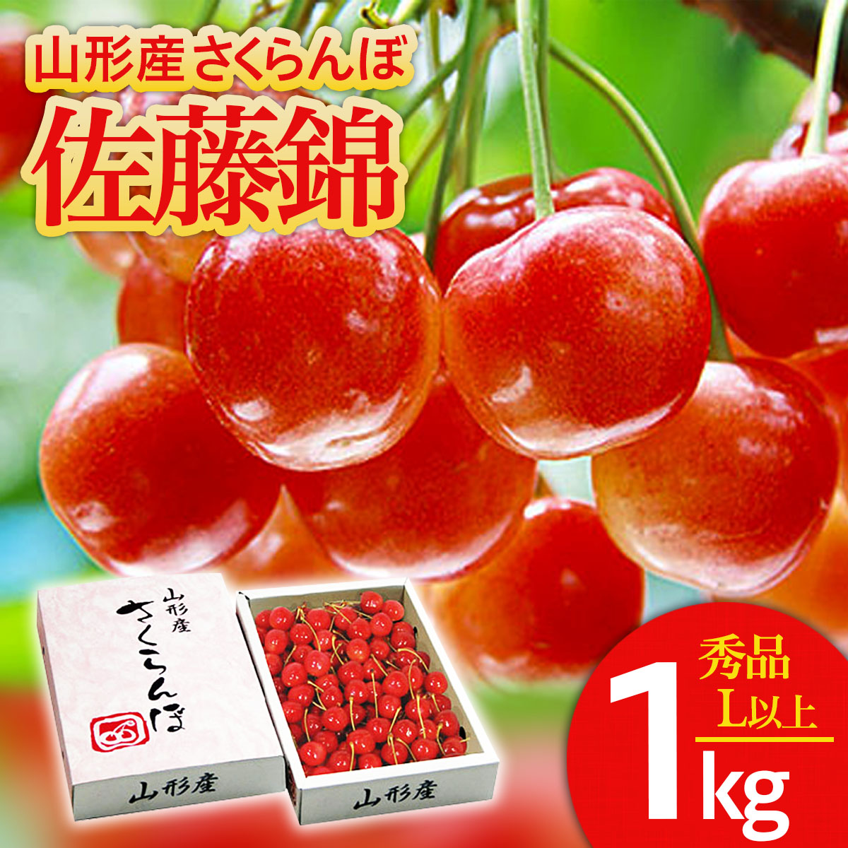 さくらんぼ 佐藤錦 Lサイズ以上1kg1箱 【令和7年産先行予約】FS24-607