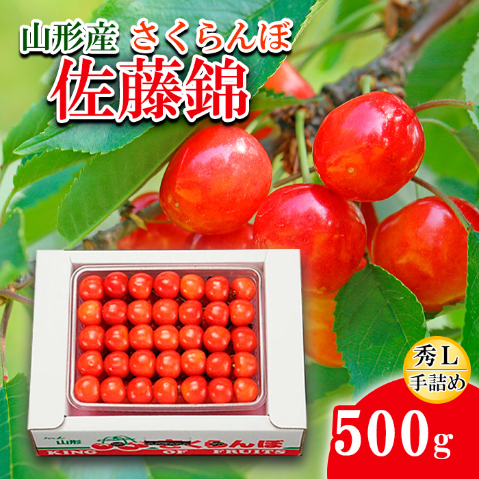 さくらんぼ 佐藤錦 Ｌ500g 手詰 【令和8年産先行予約】FS24-581