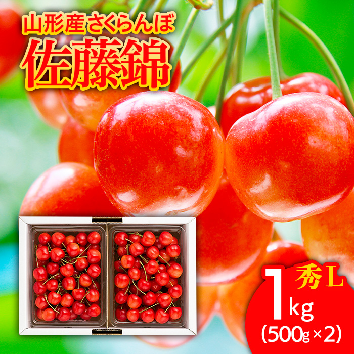 さくらんぼ 佐藤錦1kg(500g×2) L バラ詰め 【令和7年産先行予約】FU21-173