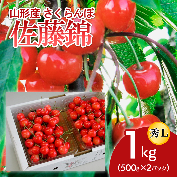 山形産 さくらんぼ 佐藤錦 L 1kg(500g×2パック入) 【令和7年産先行予約】FU18-863