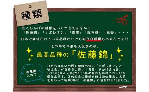 ★母の日★山形さくらんぼ 佐藤錦 チェリコン化粧箱 200g Lサイズ(5/4～5/10着) 【令和8年産先行予約】FS25-544