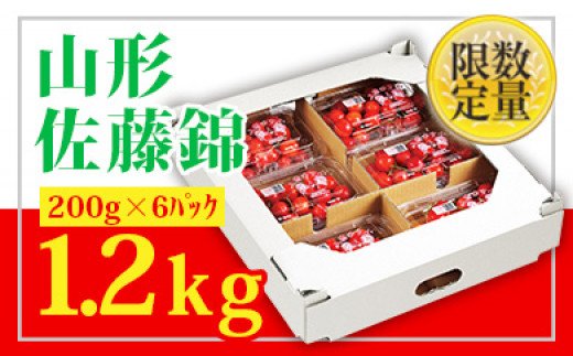 ★山形さくらんぼ佐藤錦☆Lサイズ以上200g×6 【令和7年産先行予約】FU22-705