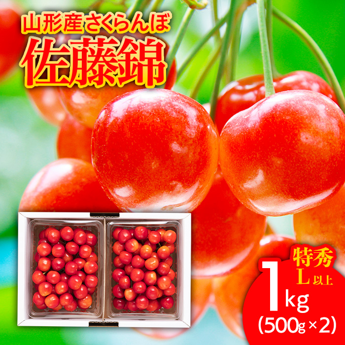 さくらんぼ 佐藤錦1kg(500g×2) 特秀 L以上 バラ詰め 【令和7年産先行予約】FU21-172