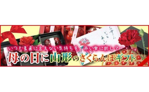 ★母の日★山形さくらんぼ佐藤錦 L 300g手詰メッセージ付(5/5～5/11着) 【令和7年産先行予約】FU18-298