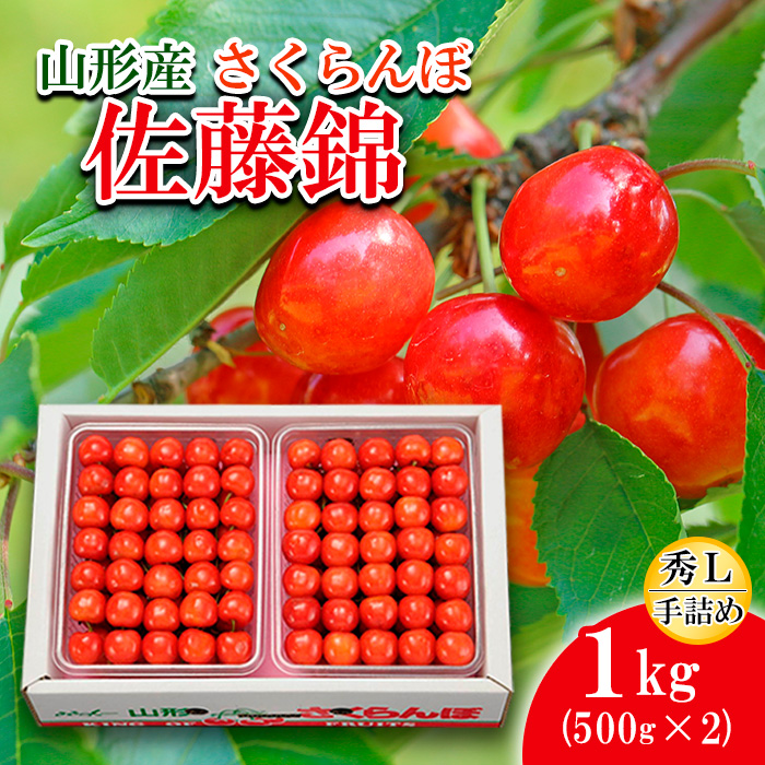 さくらんぼ 佐藤錦 Ｌ(500g×2)手詰 【令和8年産先行予約】FS25-529