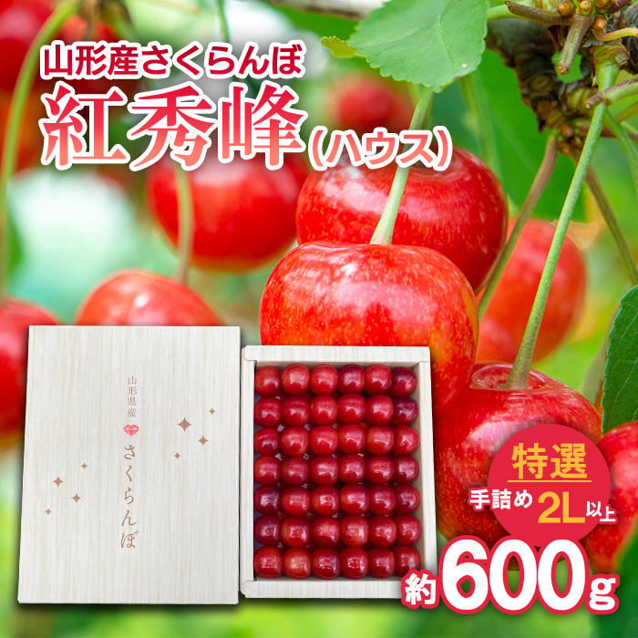 さくらんぼ 紅秀峰(ハウス)特選 手詰め 2L以上 約600g 【令和8年産先行予約】FS25-707