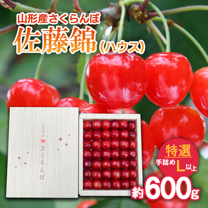さくらんぼ 佐藤錦 (ハウス) 特選 手詰め L以上 約600g 【令和8年産先行予約】FS25-709