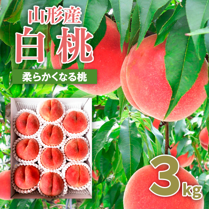 山形市産 桃 秀3kg(5～13玉)[柔らかくなる桃] 【令和7年産先行予約】FU20-062