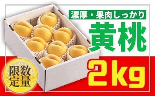 ★山形黄金色の桃★黄桃秀品2kg[柔らかくなる桃] 【令和8年産先行予約】 FS25-669