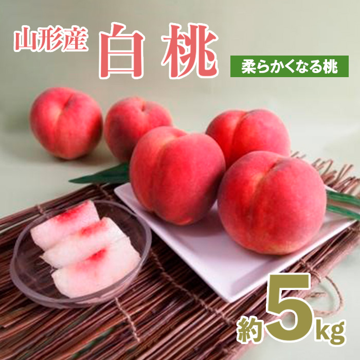 山形産白桃 小玉サイズ 約5kg(18～22玉)[柔らかくなる桃]【令和8年産先行予約】FU21-159