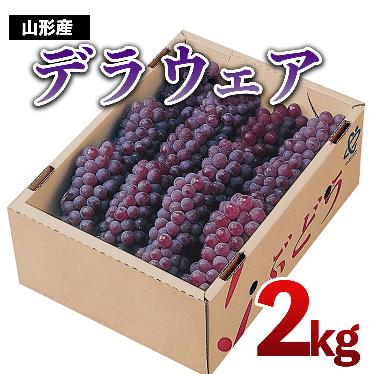 山形市産　デラウェア 2kg(10～12房) 【令和7年産先行予約】FU18-923