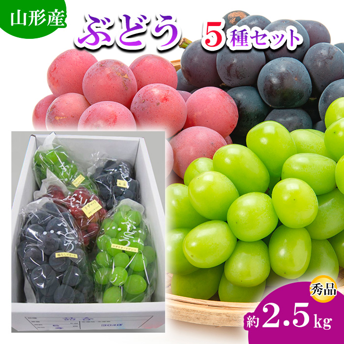 山形市産 ぶどう 5種セット 約2.5kg 【令和7年産先行予約】FU19-695