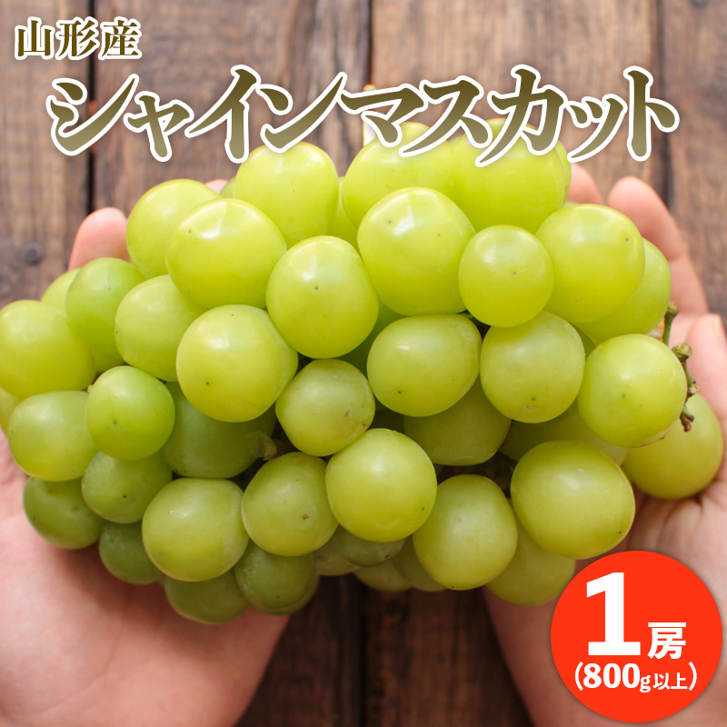 ぷりぷりの大房シャインマスカット 1房(800g以上) 【令和8年産先行予約】FU20-466