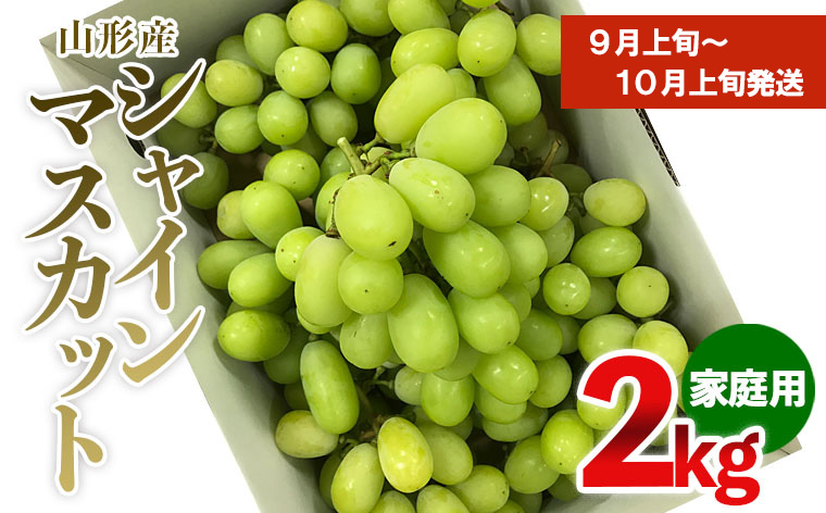 【ご家庭用】シャインマスカット 2kg入り 1箱 [前半] 【令和7年産先行予約】FU19-485