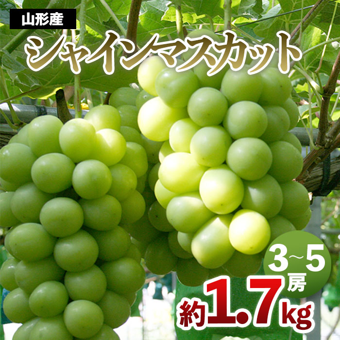 山形産 シャインマスカット 約1.7kg(3～5房) 【令和7年産先行予約】FS24-502