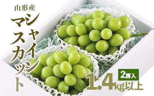 山形市産 シャインマスカット 秀 2房 1.4kg以上 【令和7年産先行予約】FU18-232