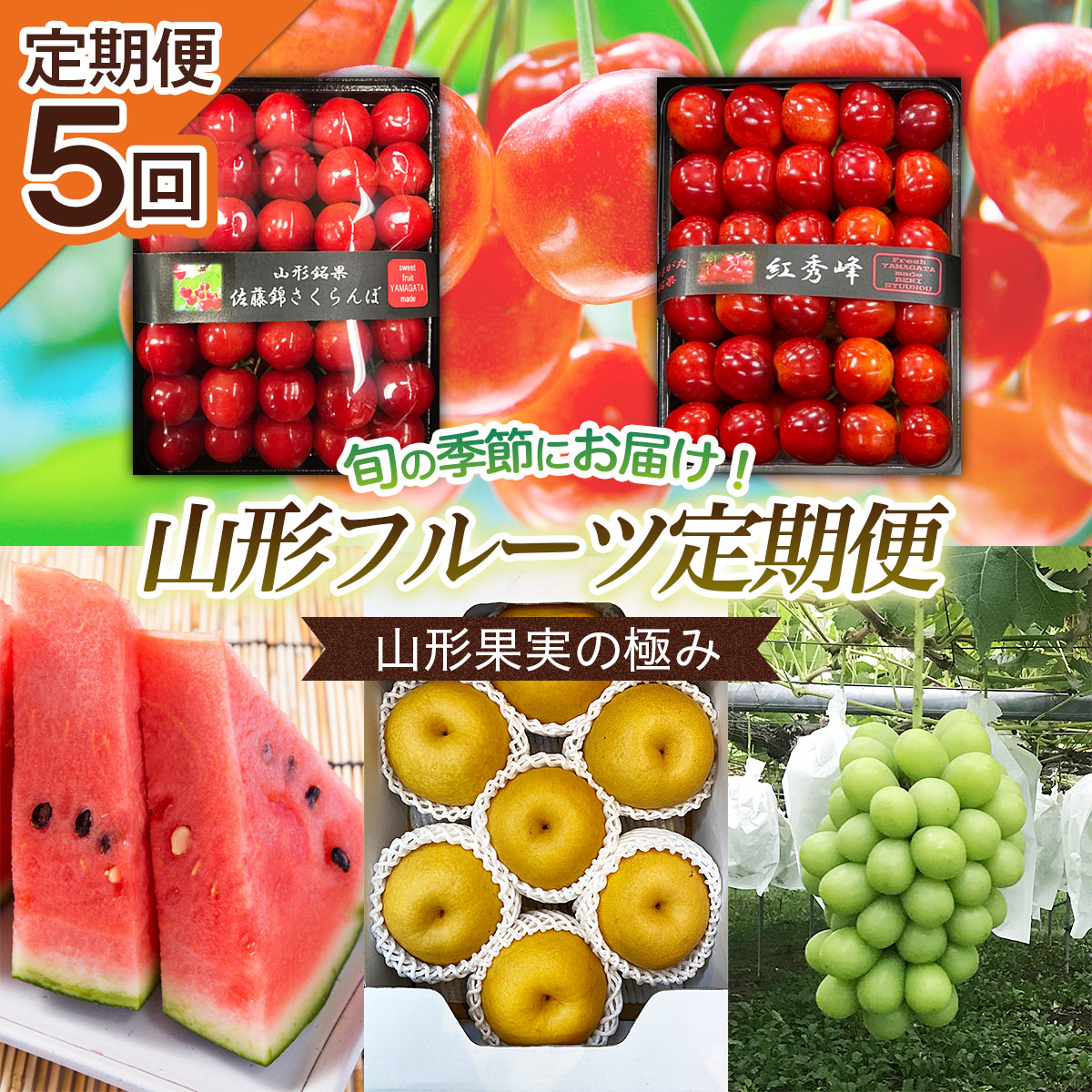 【定期便5回】山形果実の極み 【令和8年産先行予約】FU20-100