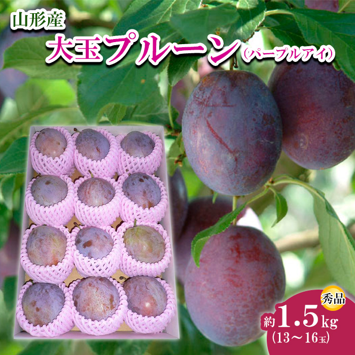 山形市産 大玉プルーン(パープルアイ) 秀 約1.5kg(13～16玉) 【令和8年産先行予約】FU22-758
