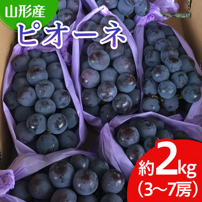 山形市産 ぶどう(ピオーネ) 秀 2kg(3〜7房)[前半] 【令和8年産先行予約】FU19-697