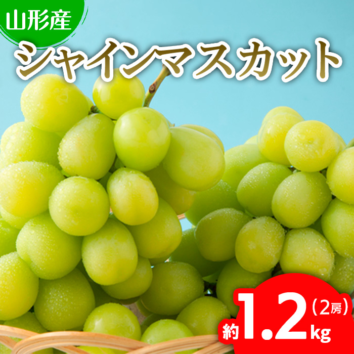 ぷりぷりのシャインマスカット 2房 約1.2kg(1房500g～700g) 【令和7年産先行予約】FU22-743