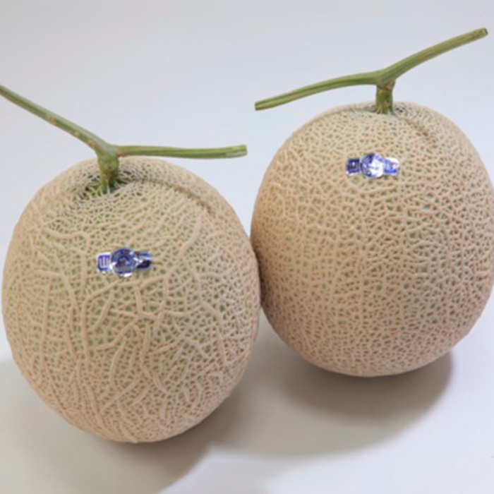 山形産 アールスメロン 秀 2玉(3kg) 【令和8年産先行予約】FS24-540