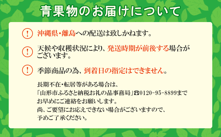 山形産 アールスメロン 秀 2玉(3kg) 【令和8年産先行予約】FS24-540