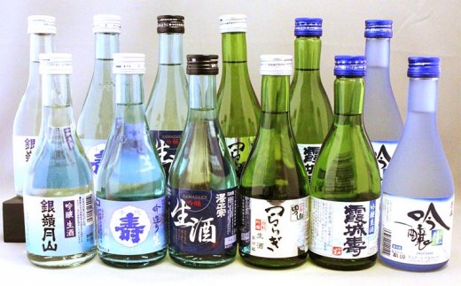 大人気『生酒』飲み比べセット 12本セット FZ21-453