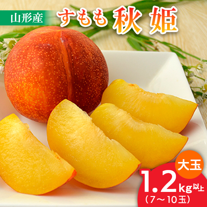 山形のすもも[秋姫]大玉 1.2kg以上(7～10玉)【令和8年産先行予約】FU22-800