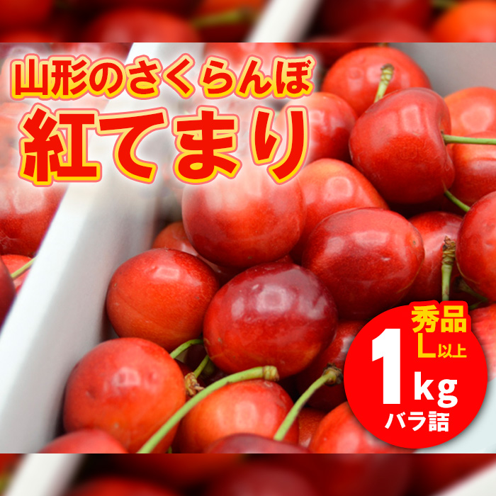 山形のさくらんぼ 紅てまり 1kg Lサイズ以上 バラ詰 【令和7年産先行予約】FS24-560