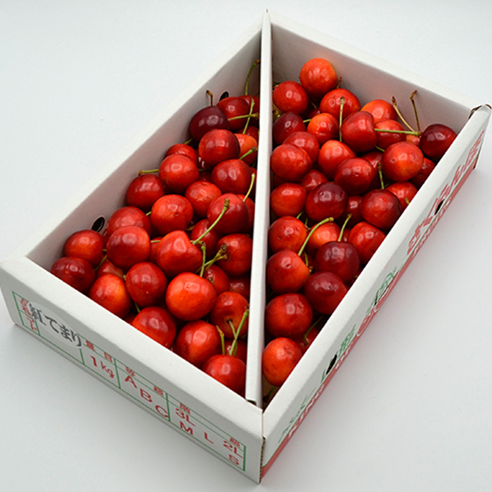 山形のさくらんぼ 紅てまり 1kg Lサイズ以上 バラ詰 【令和8年産先行予約】FS25-526