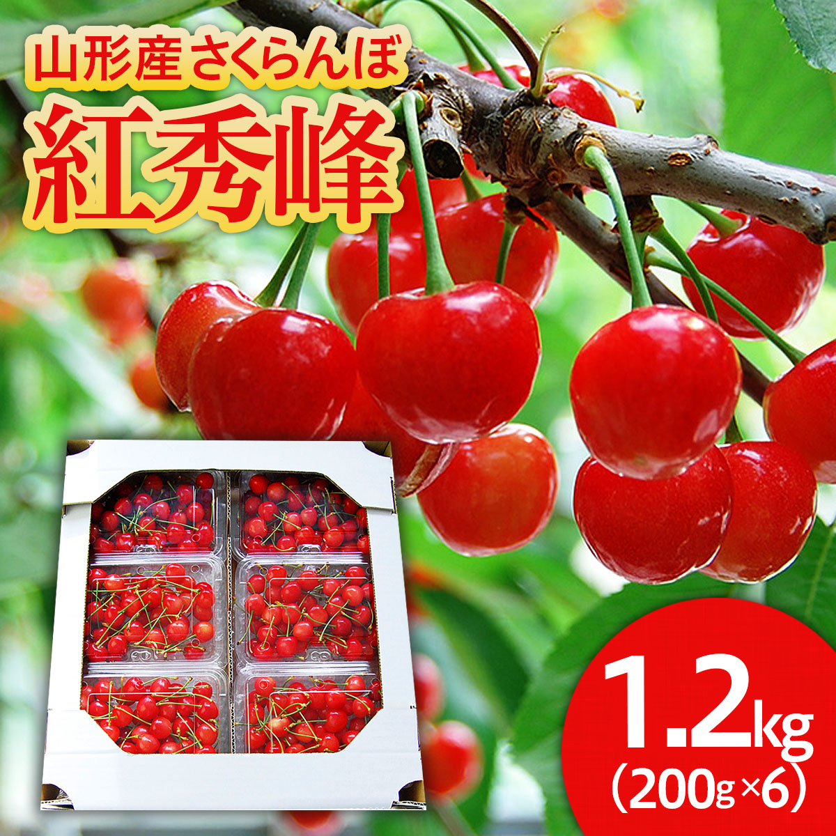 山形のさくらんぼ 紅秀峰 1.2kg(200g×6パック) Lサイズ以上 【令和7年産先行予約】FS24-555