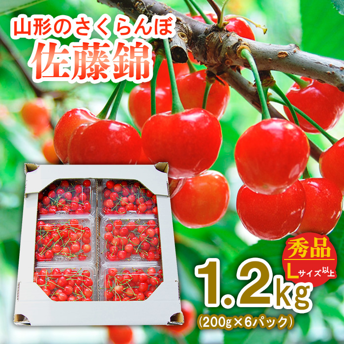 山形のさくらんぼ 佐藤錦 1.2kg(200g×6パック) Lサイズ以上 【令和7年産先行予約】FS24-550