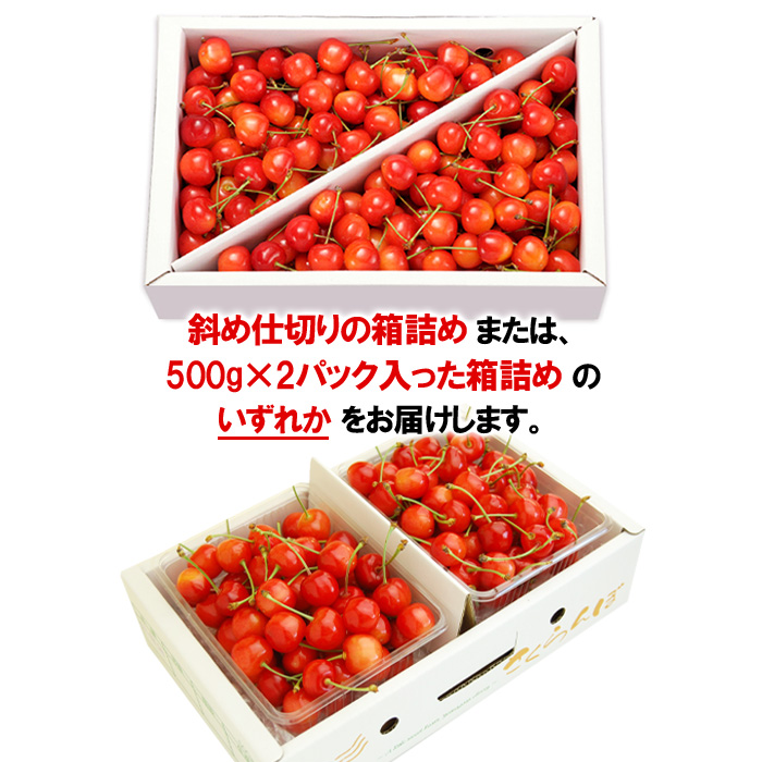 山形のさくらんぼ 佐藤錦 1kg Lサイズ以上 バラ詰 【令和7年産先行予約】FS24-549