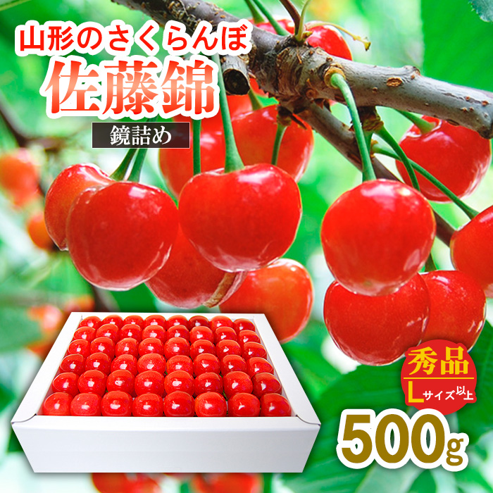 山形のさくらんぼ 佐藤錦 鏡詰め 500g Lサイズ以上 【令和7年産先行予約】FS24-548