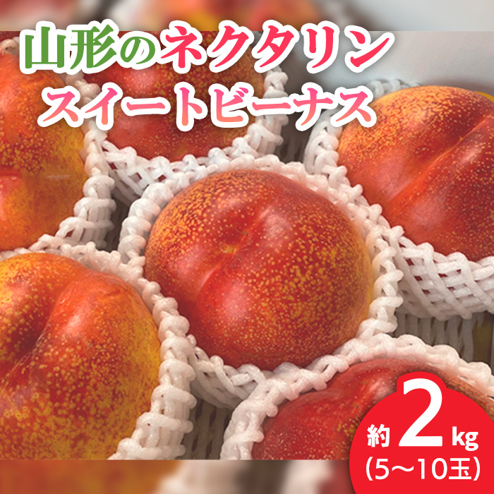 山形のネクタリン(スイートビーナス)約2kg(5～10玉) 【令和7年産先行予約】FS24-568