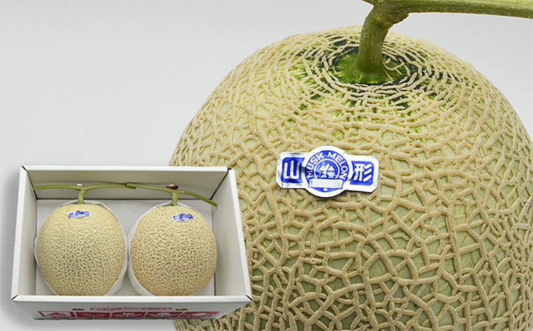 山形のアールスメロン 2玉(3kg以上)【令和8年産先行予約】FU21-634