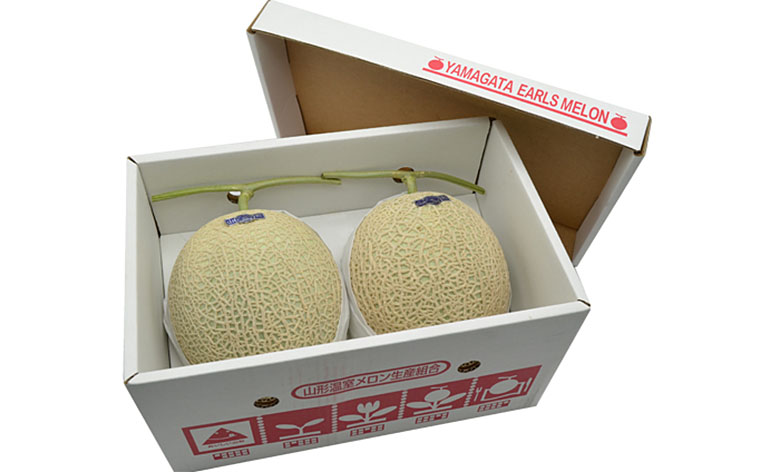 山形のアールスメロン 2玉(3kg以上)【令和8年産先行予約】FU21-634