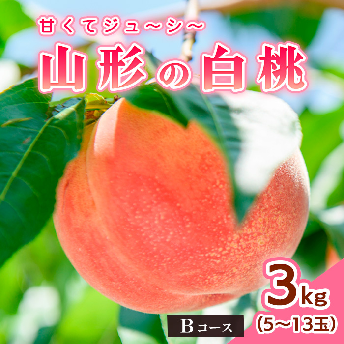 山形の白桃3kg(5～13玉)Bコース[柔らかくなる品種・果肉やや硬め] 【令和7年産先行予約】FS24-564