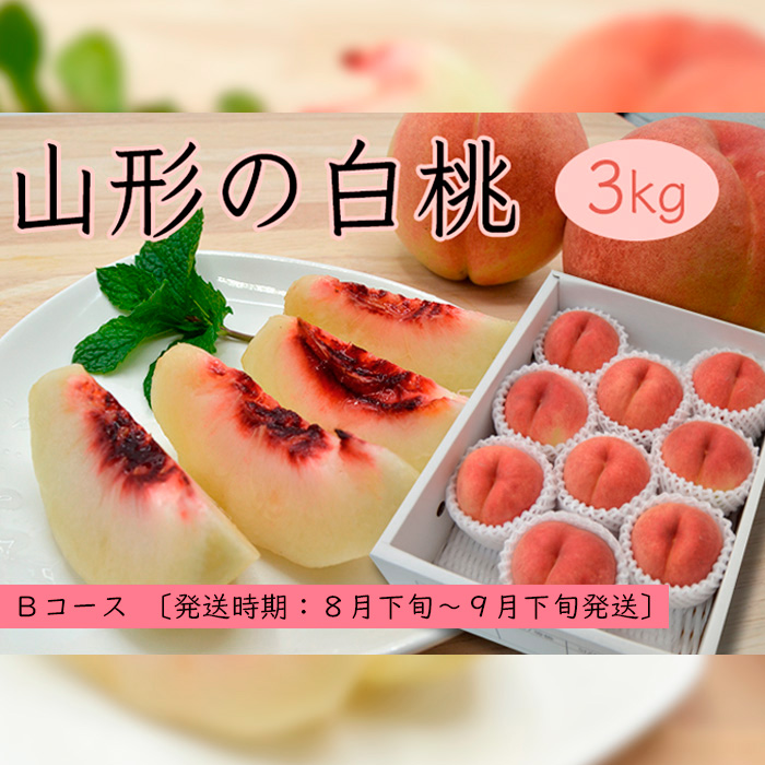 山形の白桃3kg(5～13玉)Bコース[柔らかくなる品種・果肉やや硬め] 【令和8年産先行予約】FS25-632