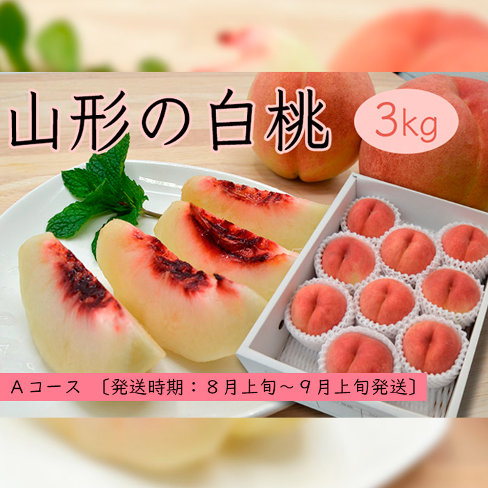 山形の白桃3kg(5～13玉)Aコース[柔らかくなる品種] 【令和8年産先行予約】FS25-631