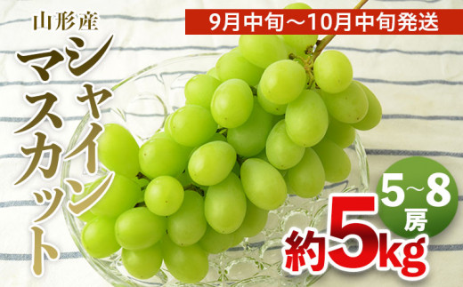 山形の大粒シャインマスカット 秀品 約5kg(5～8房)[9月中旬～10月中旬発送]【令和7年産先行予約】FS24-645