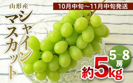 山形の大粒シャインマスカット 秀品 約5kg(5～8房)[10中旬～11月中旬発送] 【令和7年産先行予約】FS24-646