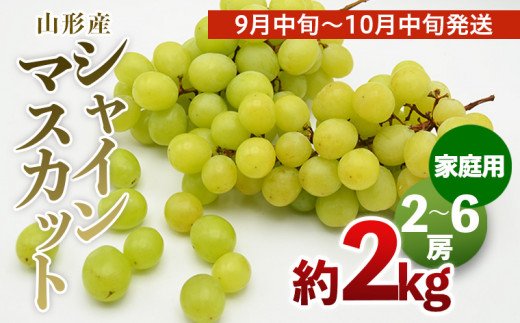 【ご家庭用】山形のシャインマスカット 優品 約2kg(2～6房)[9月中旬～10月中旬発送] 【令和7年産先行予約】FS24-578