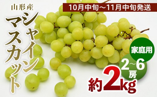 【ご家庭用】山形のシャインマスカット 優品 約2kg(2～6房)[10月中旬～11月中旬発送] 【令和7年産先行予約】FS24-577