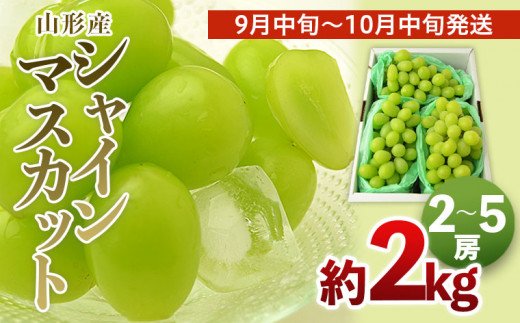 山形のシャインマスカット 秀品 約2kg(2～5房)[9中旬～10月中旬発送] 【令和7年産先行予約】FS24-642